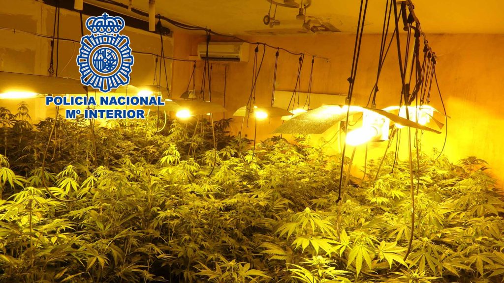Policía Nacional Marihuana Vilanova del Camí