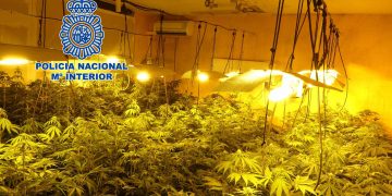 Policía Nacional Marihuana Vilanova del Camí