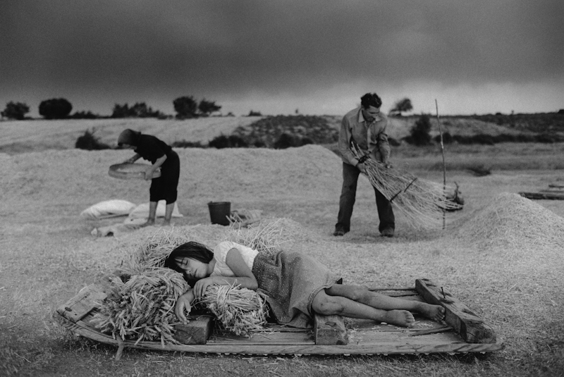 En las eras, Escober. 1988.
Dans les aires, Escober. 1988.