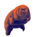 Tardígrado, también conocido como oso de agua. © Estudio Postdata