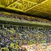 La afición del RCD Espanyol en el Estadio de la cerámica. Foto: Sergio Fidalgo.