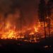 Imagen de archivo de un incendio. Foto: Freepik.