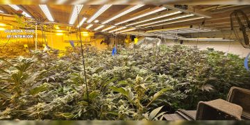 Foto: Guardia Civil.