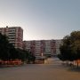 L’Hospitalet, paraíso de las cucarachas