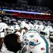 Miami Dolphins. Foto: Miami Dolphins