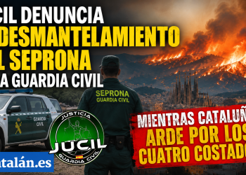 Imagen generada por IA.
