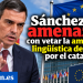 Imagen generada por IA.