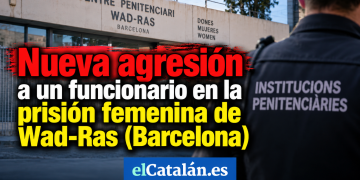 Imagen generada por IA.