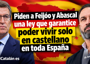 Imagen generada por IA.